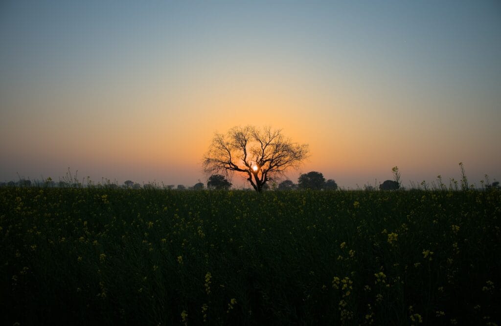 Calm scenic India view
