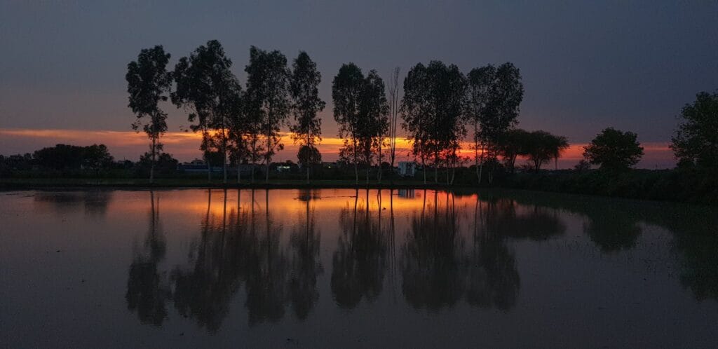 Travel experience in India – choosing the best time to visit