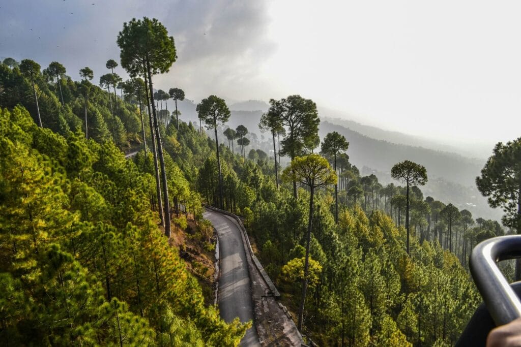 Lansdowne Uttarakhand pine forest peaceful hill station for first time travelers
