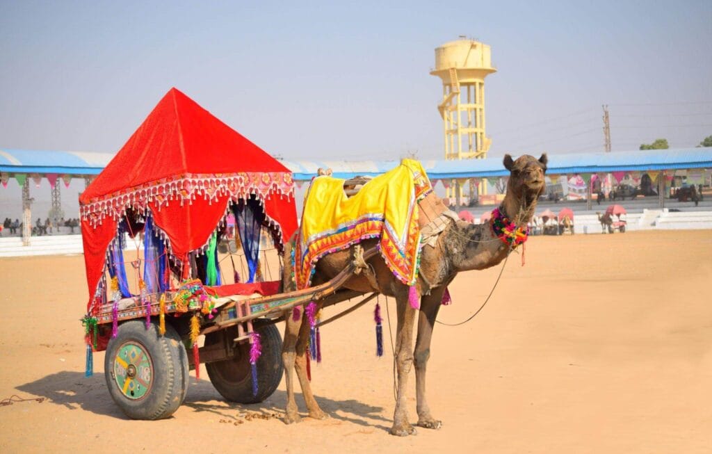 Rann of Kutch, Dholavira Gujarat