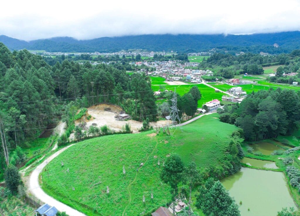 Ziro valley fields
