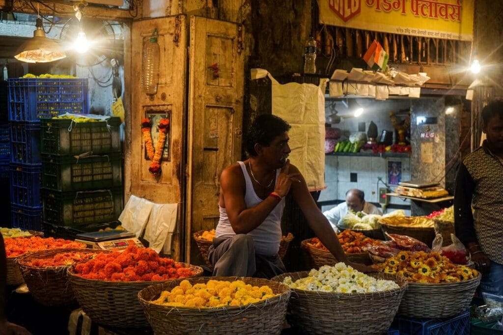 Indian street food budget travel meal