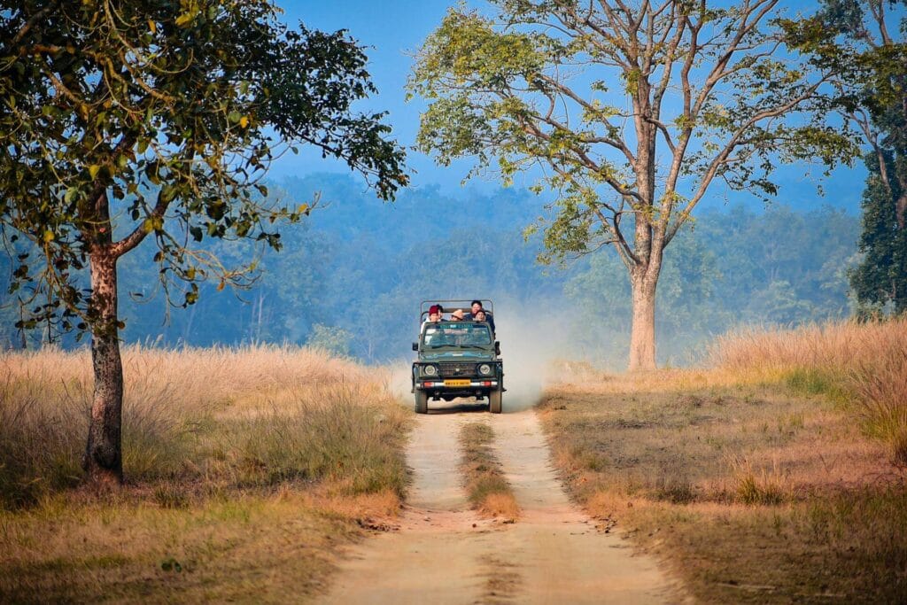 Bandhavgarh National Park India
