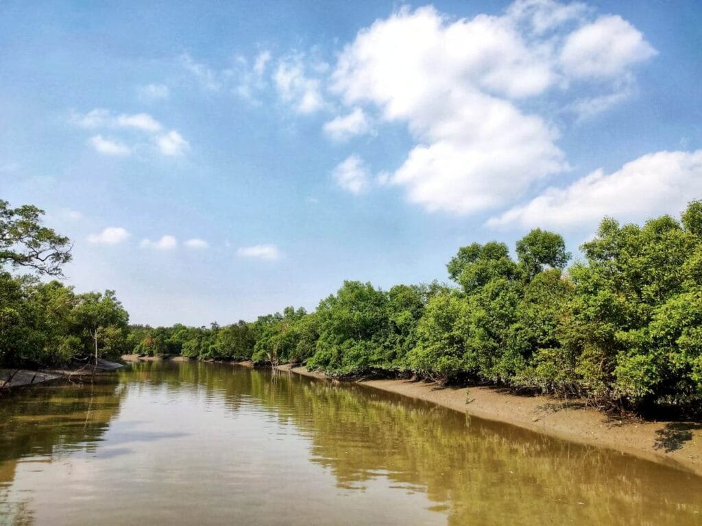 Boat safari through mangrove forest in Sundarbans National Park