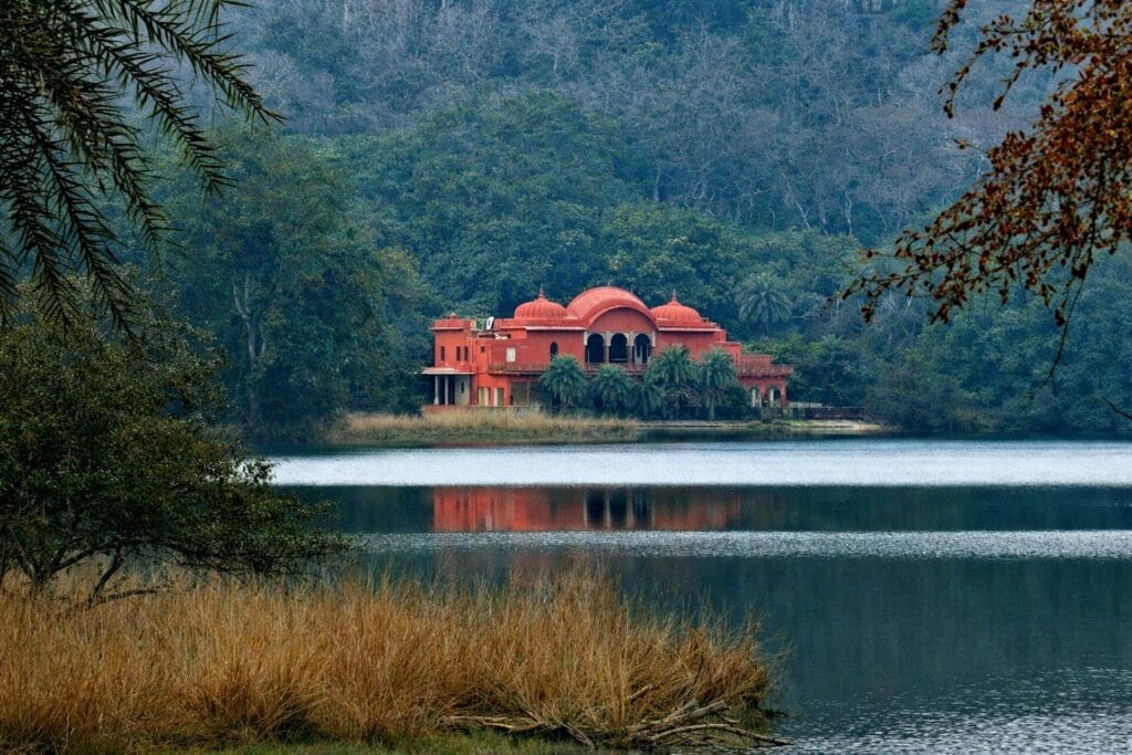 Best Wildlife Safari in India for First-Time Travelers