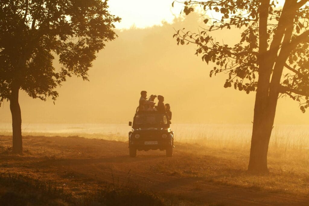 Sunset view during wildlife safari experience in India