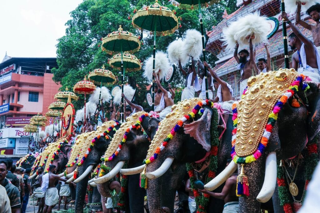 Thrissur Pooram Kerala with decorated elephants