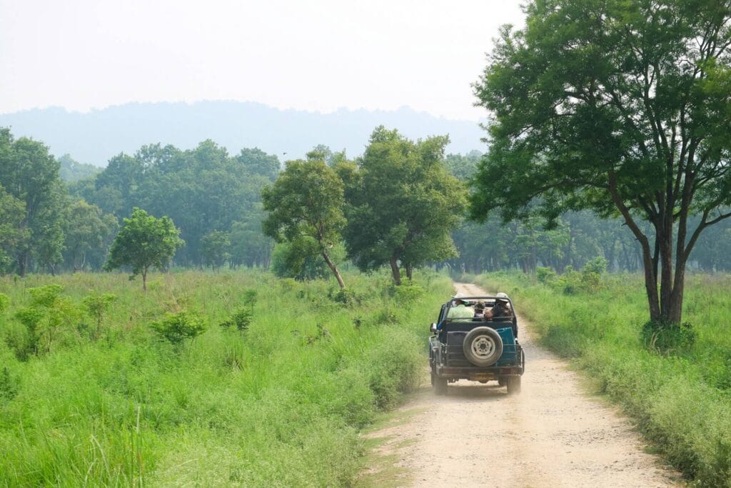 Tourists on jeep safari during wildlife trip in India national park