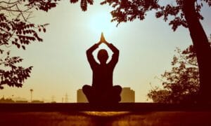 Beginner Yoga And Wellness Retreat India