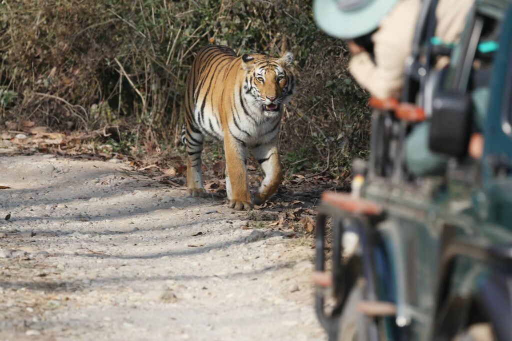 India Travel Routes for First-Time Visitors