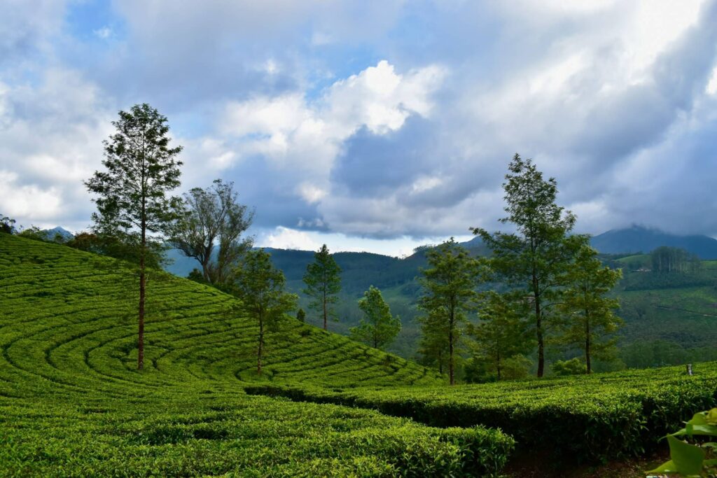 2 Weeks in India: Best Itineraries & Route Options